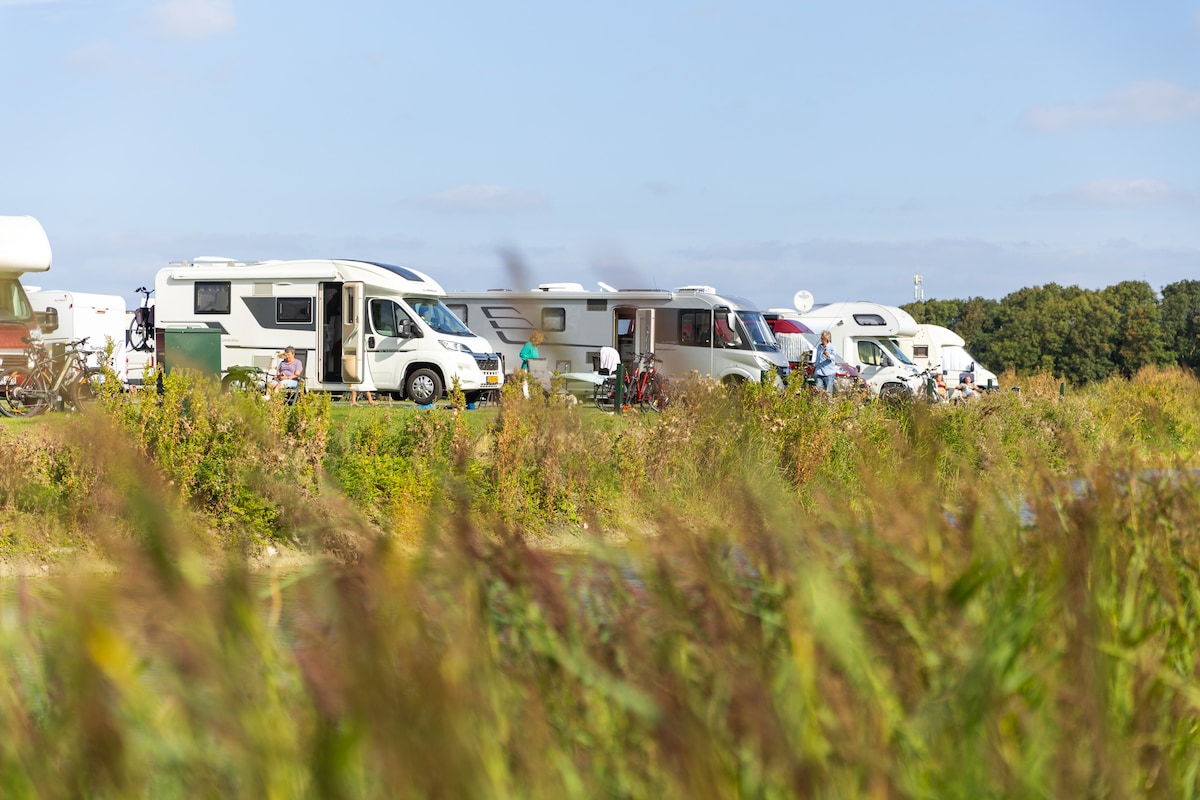Multiple camper vans are positioned along a grassy area, surrounded by tall green plants. The scene is set against a clear blue sky, with distant trees visible in the background. The camper vans vary in color and size, providing a vibrant glimpse of outdoor accommodations.