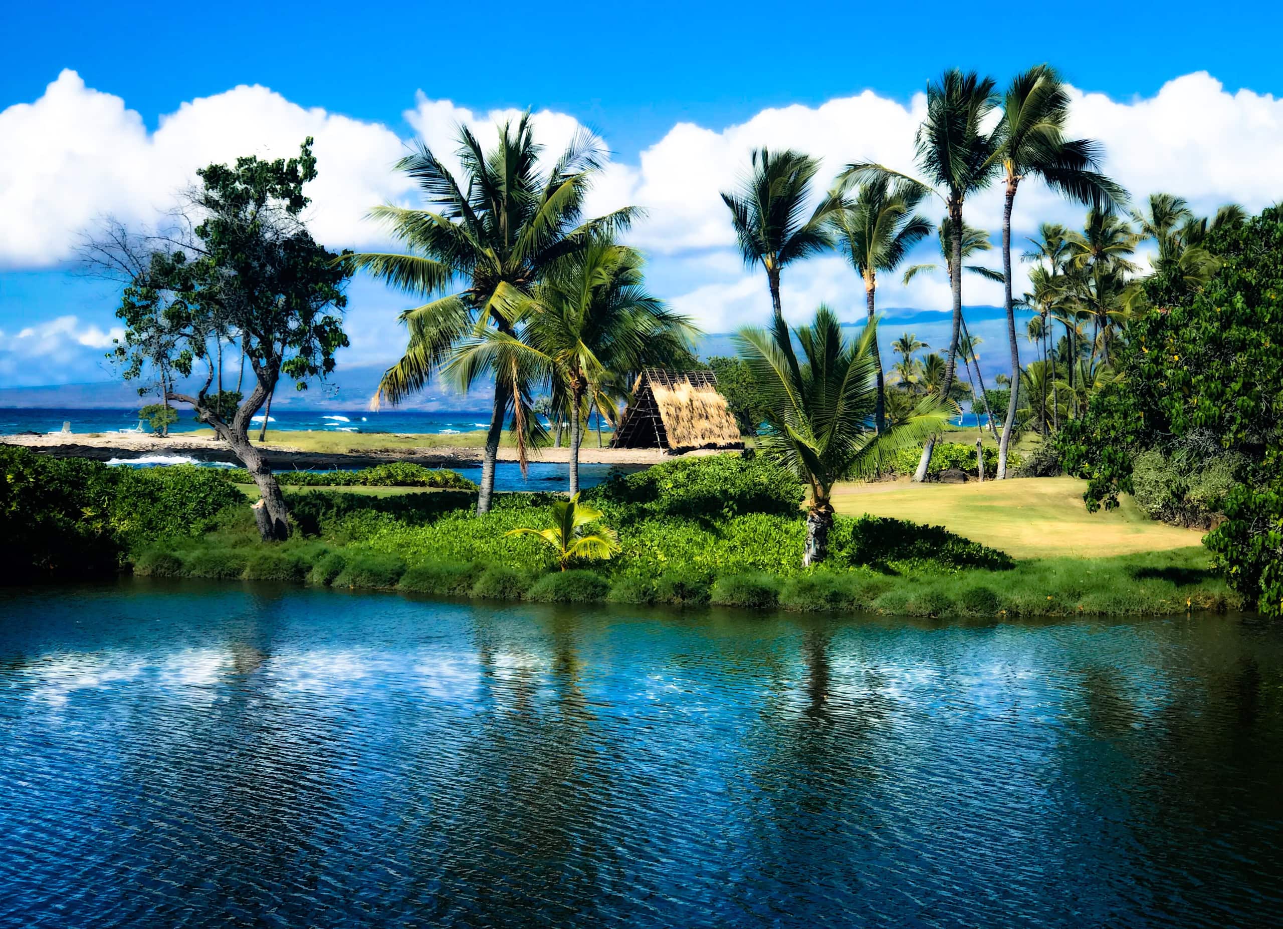 Townhouse in Waimea · ★5.0 · 2 bedrooms · 2 beds · 2 baths - Image 41