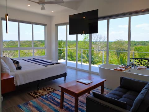 1 BdRm Sky Loft