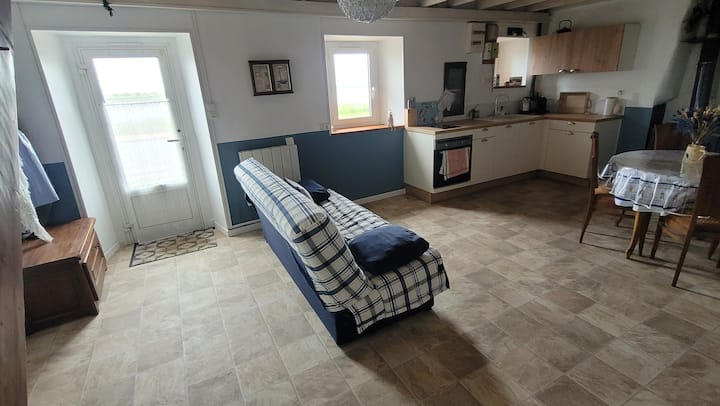 Petite Maison De Pêcheur Exceptionnelle Vue Mer - Louannec