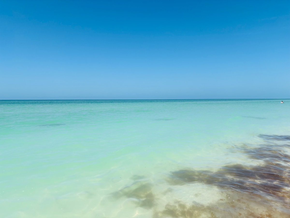 A serene view of calm waters extends toward the horizon, blending shades of turquoise and blue. Gentle ripples are visible on the surface, with a sandy shoreline framed by remnants of sea vegetation, creating a tranquil coastal scene.