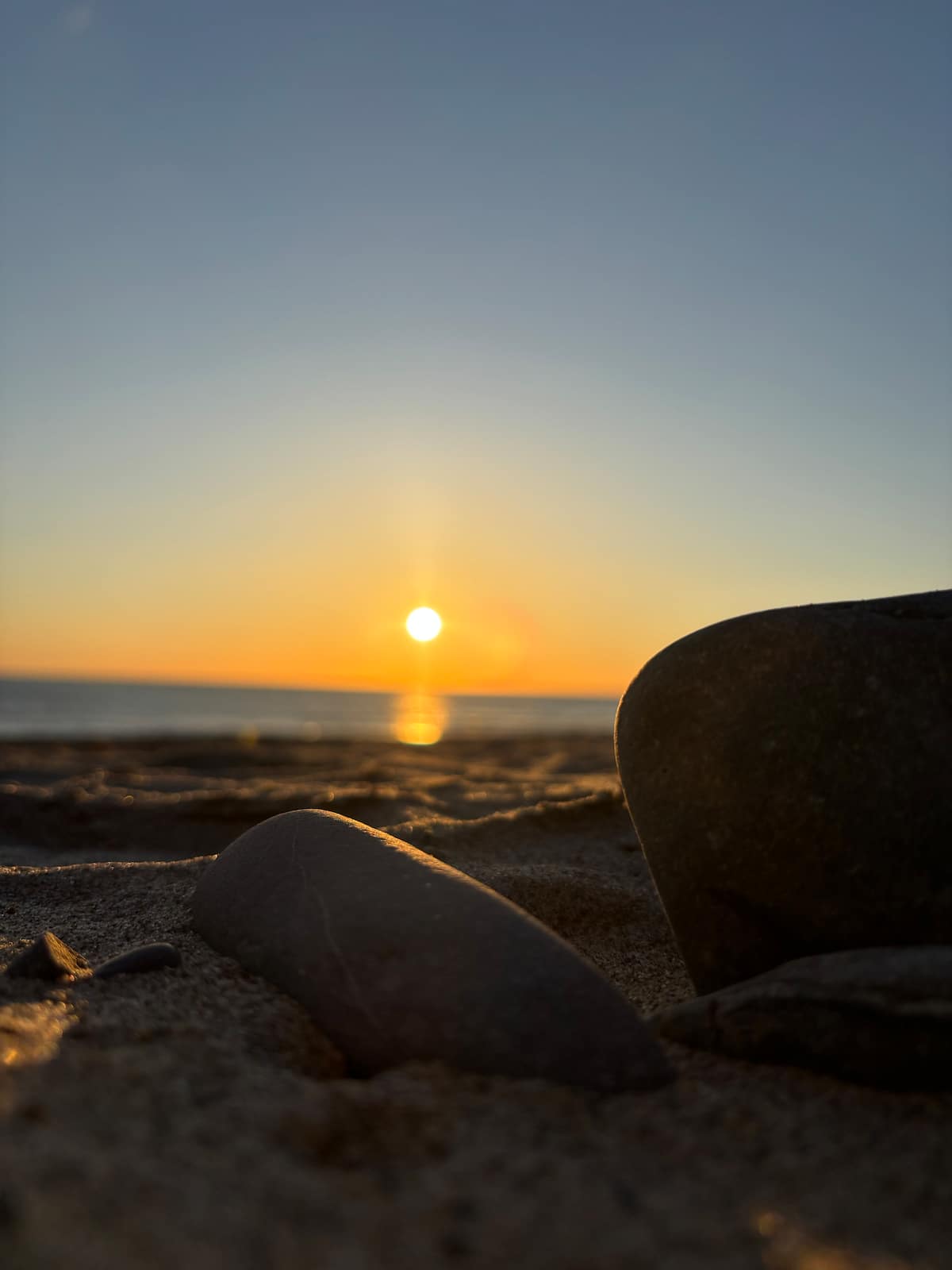Hart of the Bay photo 6