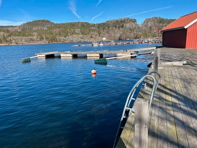 A calm waterfront scene is captured, featuring a dock with multiple floating platforms. A buoy floats in the clear water, and lush hills are visible in the background under a bright blue sky. The shoreline is lined with wooden docks and a red-roofed building.