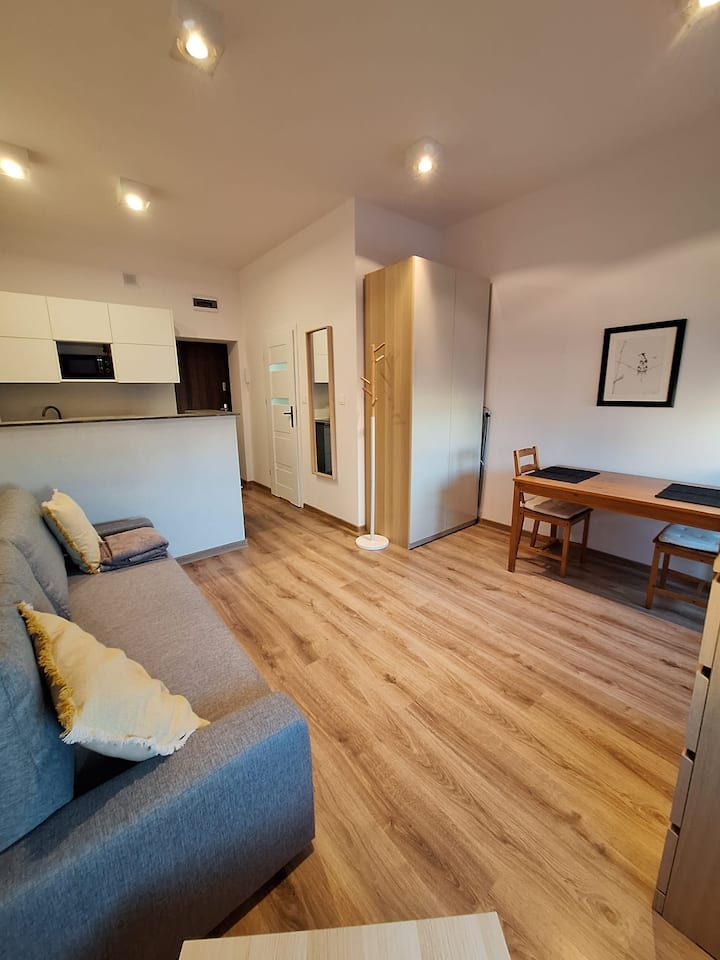 Cosy Studio Apartment - Polsko
