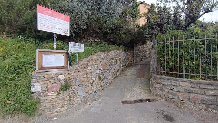Sant'ilario. Oasi Di Relax - Gênes