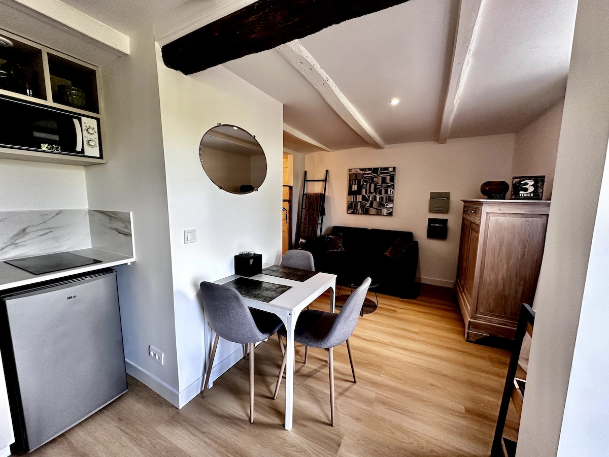 A compact living area features a modern kitchenette with built-in appliances, a small dining table with four chairs, and a cozy seating arrangement. Light wooden flooring accentuates the space, while a decorative mirror and artwork add subtle charm. Ample natural light fills the room.