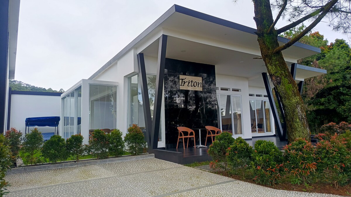 The exterior of a modern villa features a striking black stone facade with the name 'Tritton' displayed. Large glass windows allow for natural light, while two wooden chairs are positioned on the porch. Lush greenery and neatly arranged plants create a welcoming environment.