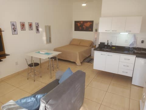 Successful Airbnb property: Studio 2, comfortable, with parking space in Araraquara