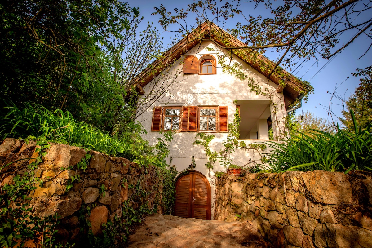 The house is nestled within lush greenery, featuring a two-story structure with brown shutters framing three windows. A stone pathway leads to an arched wooden door, surrounded by flourishing plants and vines, creating a serene and inviting entrance.