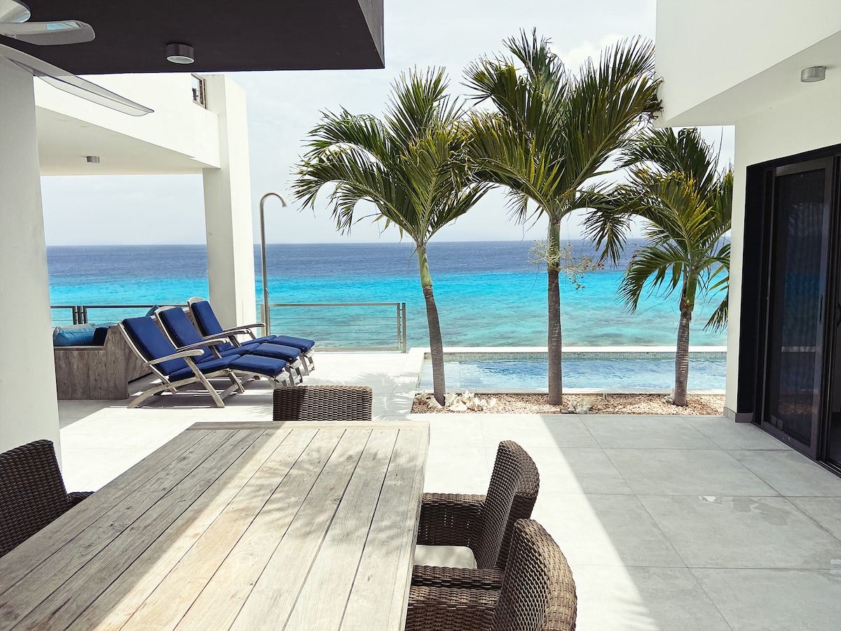 An outdoor dining area features a wooden table surrounded by woven chairs, set against a backdrop of vibrant palm trees and the ocean. A pool is visible nearby, and lounge chairs are positioned for relaxation, offering expansive views of the turquoise sea.