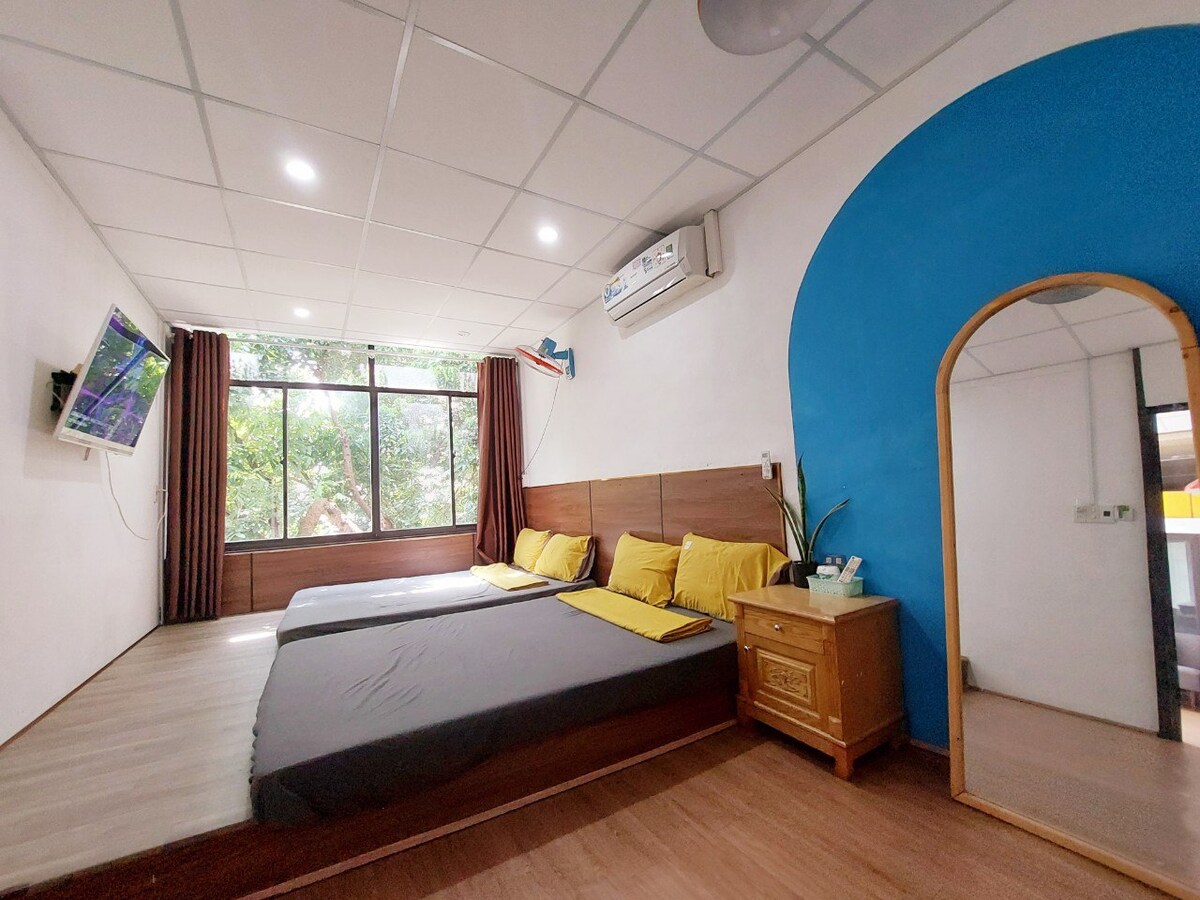 A sleeping area features two spacious beds adorned with yellow pillows. A large window invites natural light, framed by dark curtains. A wooden nightstand is placed beside one bed, and a mirror is visible on the wall, complementing the room's neutral tones and blue accent.