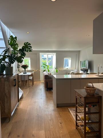 Modern Amsterdam Apartment with Rooftop Terrace gallery image 3
