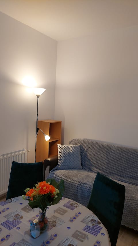 Successful Airbnb property: La Rascu 1 in Bihor
