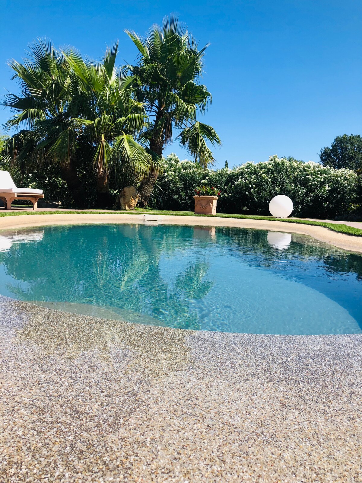 A tranquil swimming pool is surrounded by greenery, including palm trees and flowering plants. The water reflects the clear blue sky, creating a serene atmosphere. Lounge chairs are positioned nearby, enhancing the inviting outdoor space.