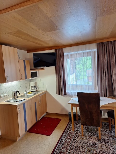 Beliebte Airbnb-Anzeige: Appartment Ahorn in Mayrhofen