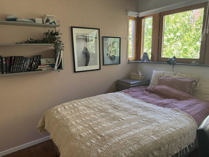 Cama individual de 120 cm