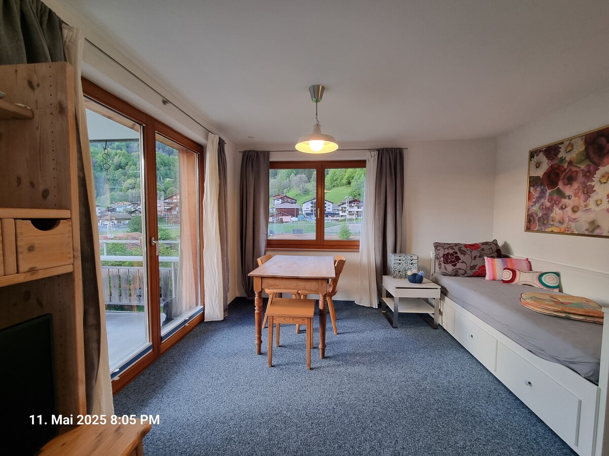 Top performing Airbnb: 34 m2 apartment quiet location, near Madrisa train in Klosters