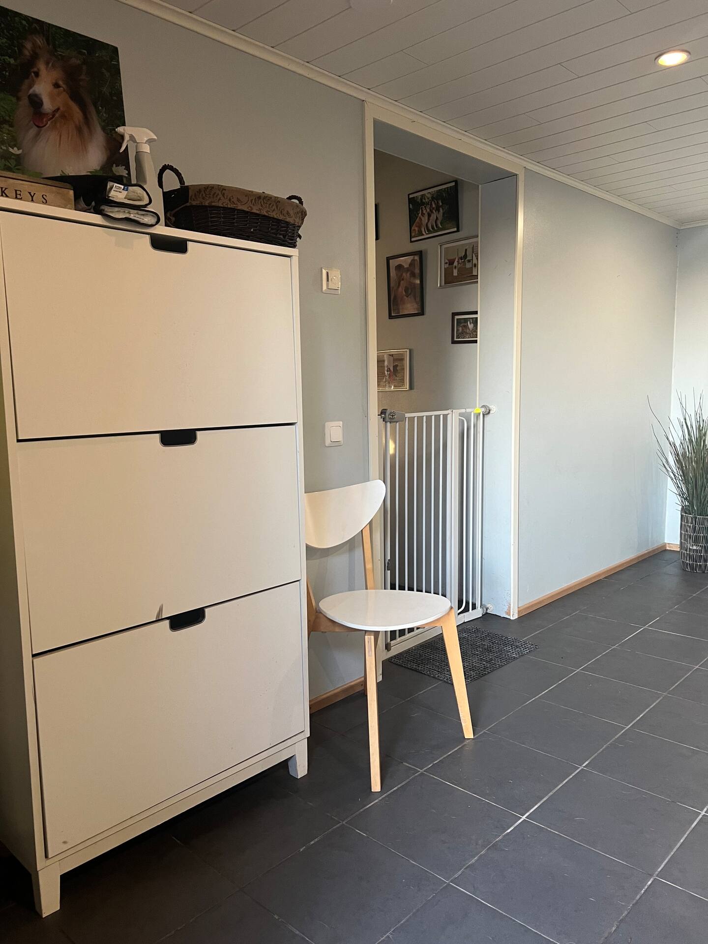 Tilava Omakotitalo 4