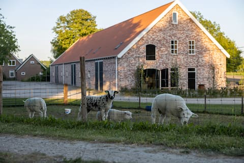Hoeve Boerendiek 10 bedrooms (20 people)