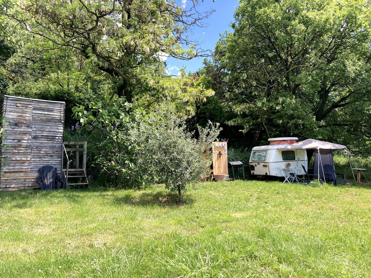 A vintage caravan is situated in a grassy area surrounded by trees, offering a sense of seclusion. Nearby, a wooden structure is visible, while a small outdoor seating area with chairs is set up. Natural light enhances the serene atmosphere.