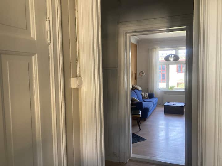 Lys Og Fin Sentrumsnær Leilighet - Oslo