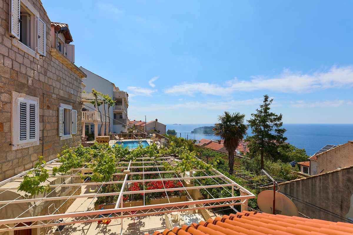A view from the apartment showcases the Adriatic Sea and surrounding landscape. Green vines are seen on a trellis in the foreground, while a pool area is visible in the distance. The scene is complemented by a bright blue sky and scattered clouds.