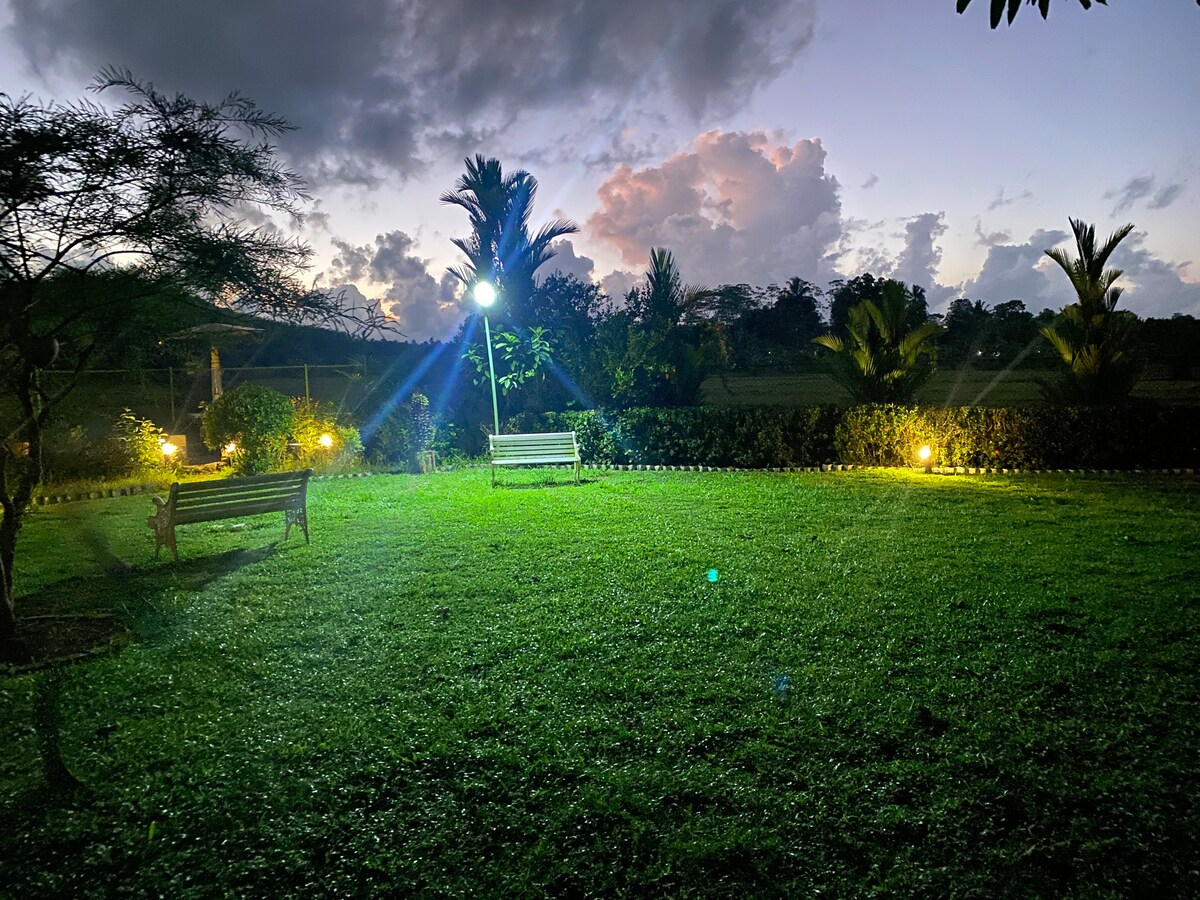 A well-maintained garden area is depicted at dusk, featuring two wooden benches placed under soft lighting. Lush green grass surrounds the benches, while palm trees and other foliage create a natural ambiance in the background.