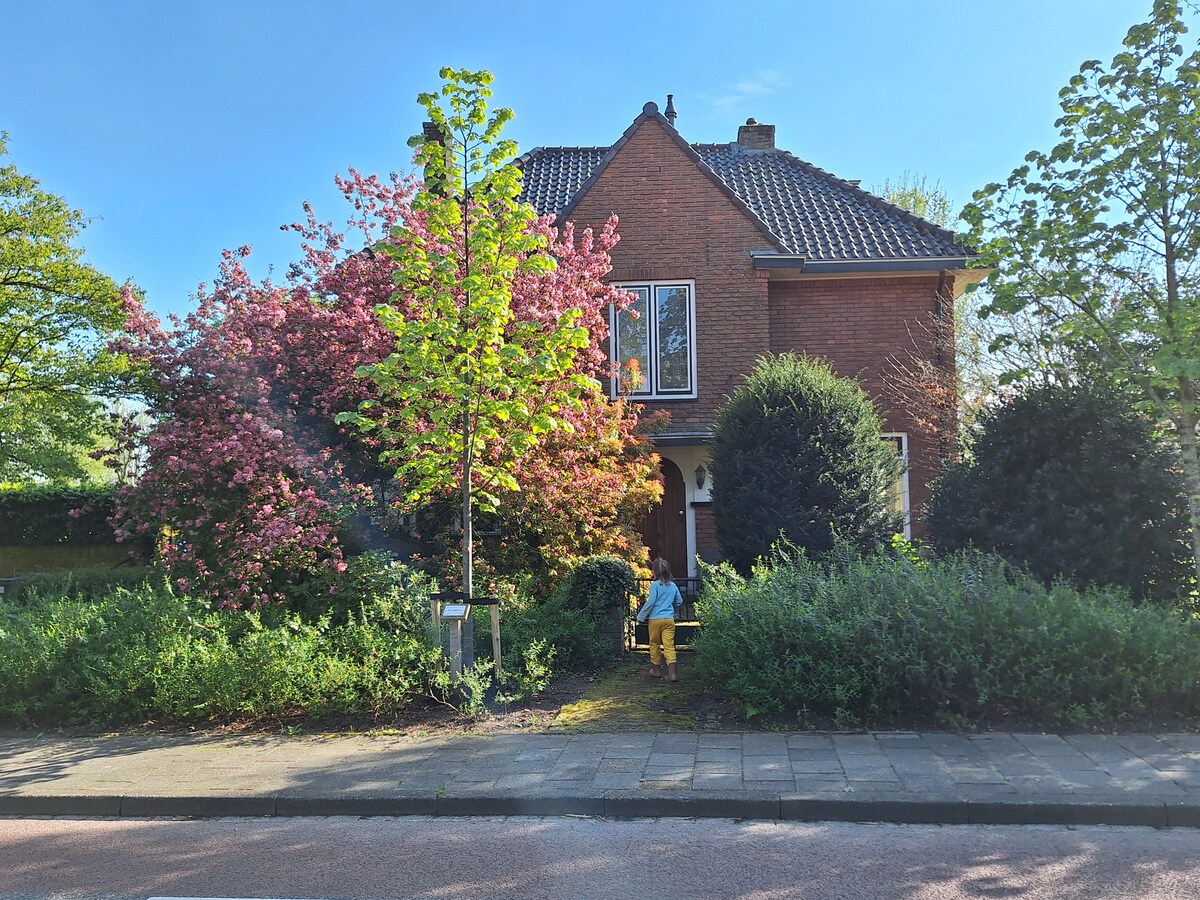 The exterior of a charming red-brick house is framed by lush greenery and colorful flowering plants. A vibrant tree stands prominently in the front yard, while a small bench invites relaxation. The clear blue sky enhances the welcoming ambiance of the residence.