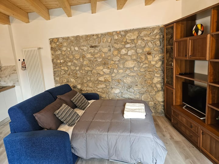 Apartment 3 In A 19th Century Mansion - Lake Como