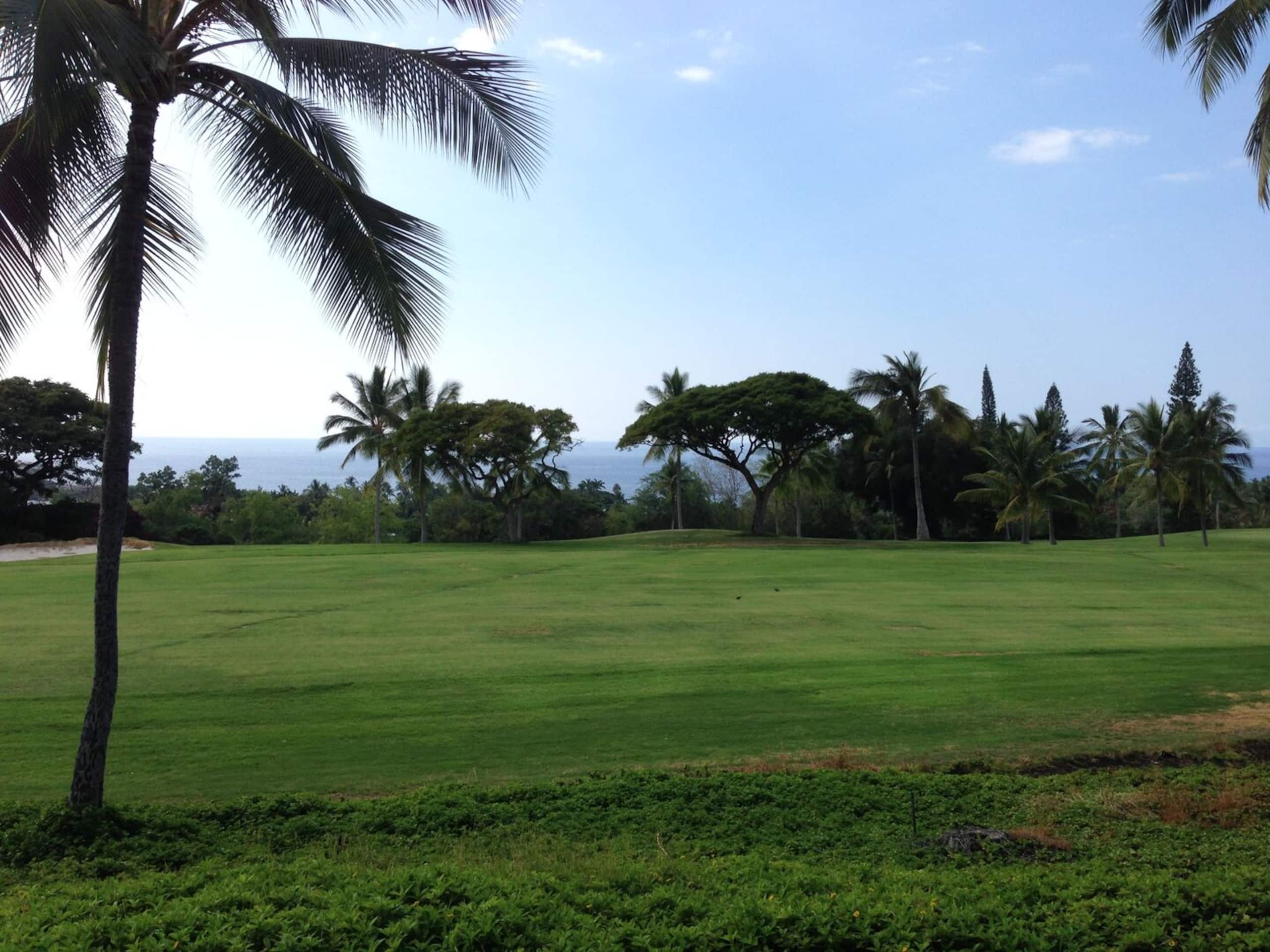 Condo in Kailua-Kona · ★5.0 · 2 bedrooms · 2 beds · 2 private baths - Image 75
