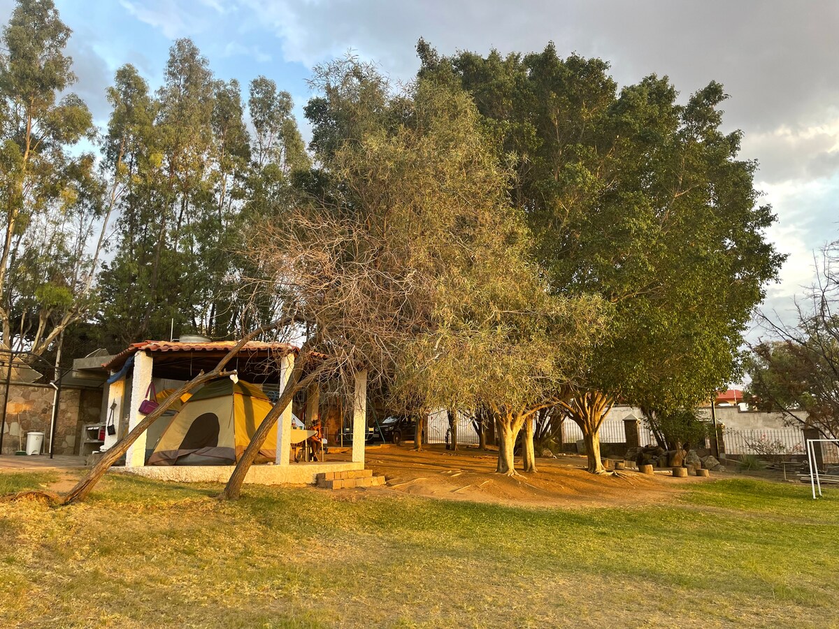 A camping area surrounded by tall trees and grassy terrain. A tent is positioned near a simple structure with a rustic roof, offering a relaxed ambiance. The scene is complemented by the natural landscape, creating a tranquil space for outdoor gatherings.