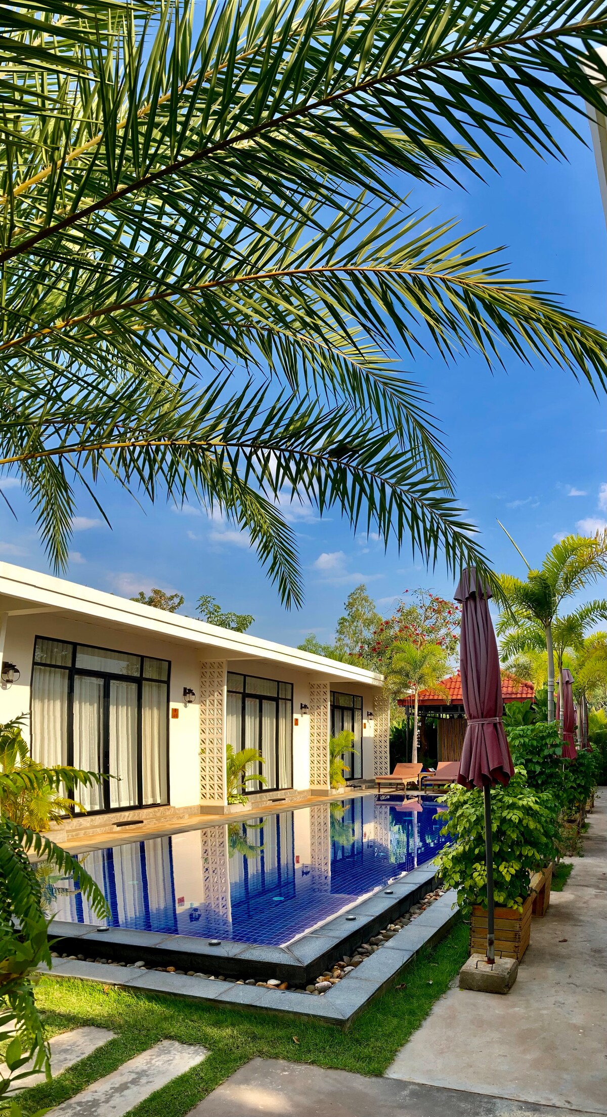 A peaceful pool area is framed by tall palm trees, with a clear blue pool reflecting the sky. Modern accommodations are visible with large glass doors, enhancing the sense of openness. Lush greenery surrounds the space, contributing to a serene environment.