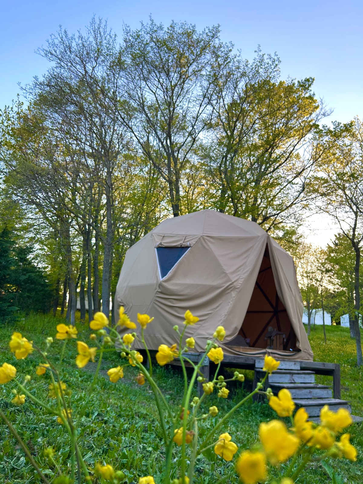 A tan glamping dome is set among green trees, surrounded by wildflowers in bloom. The structure features a distinct triangular window and is positioned on a wooden platform, providing a harmonious connection with the natural surroundings.