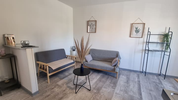 Jade Centre-ville T2rénové Cocon Cosy Parking 40m2 - Charleville-Mézières