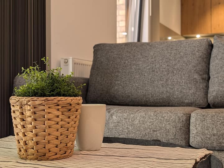 Spacious 2 Bed Flat Royal Mile, City Centre - Edinburgh