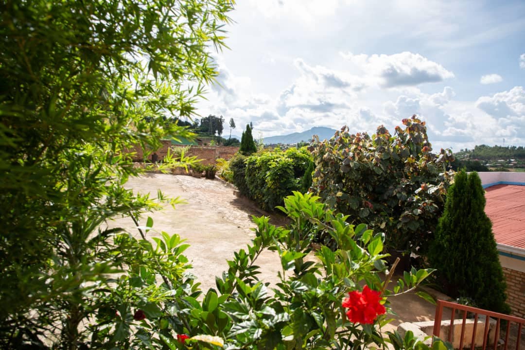 A landscaped outdoor area is surrounded by lush greenery, including various plants and trees. A vibrant red flower adds a pop of color in the foreground, while a clear sky overhead features fluffy white clouds, providing a serene backdrop to the peaceful environment.