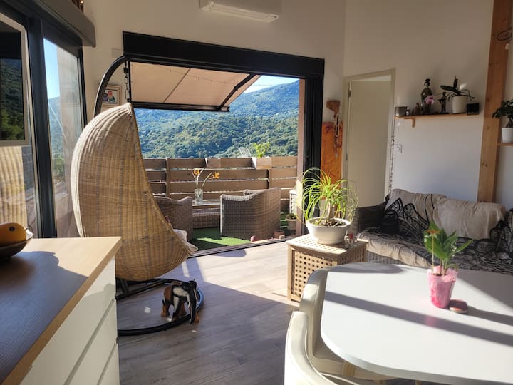 Maison -
Bormes Les Mimosas - Bormes-les-Mimosas