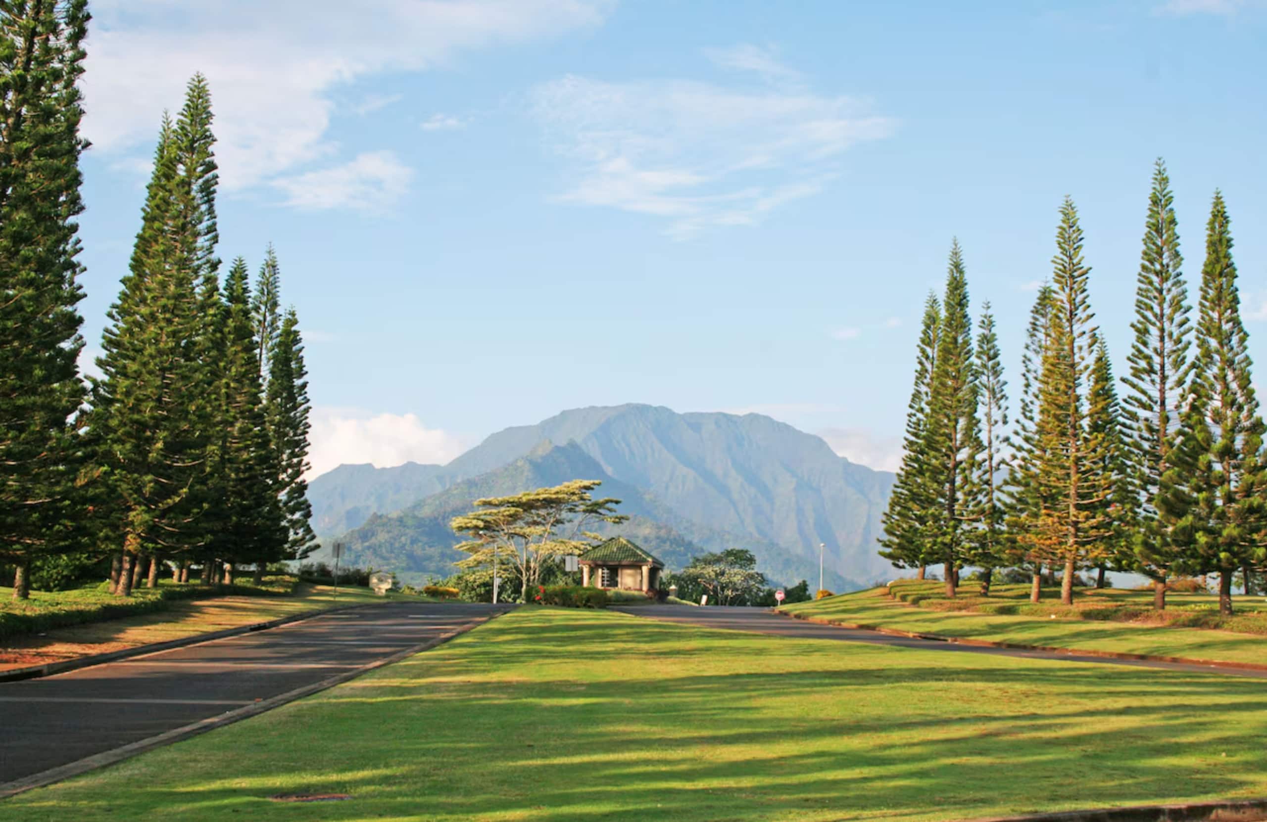 Condo in Princeville · ★4.95 · 1 bedroom · 2 beds · 1 bath - Image 30