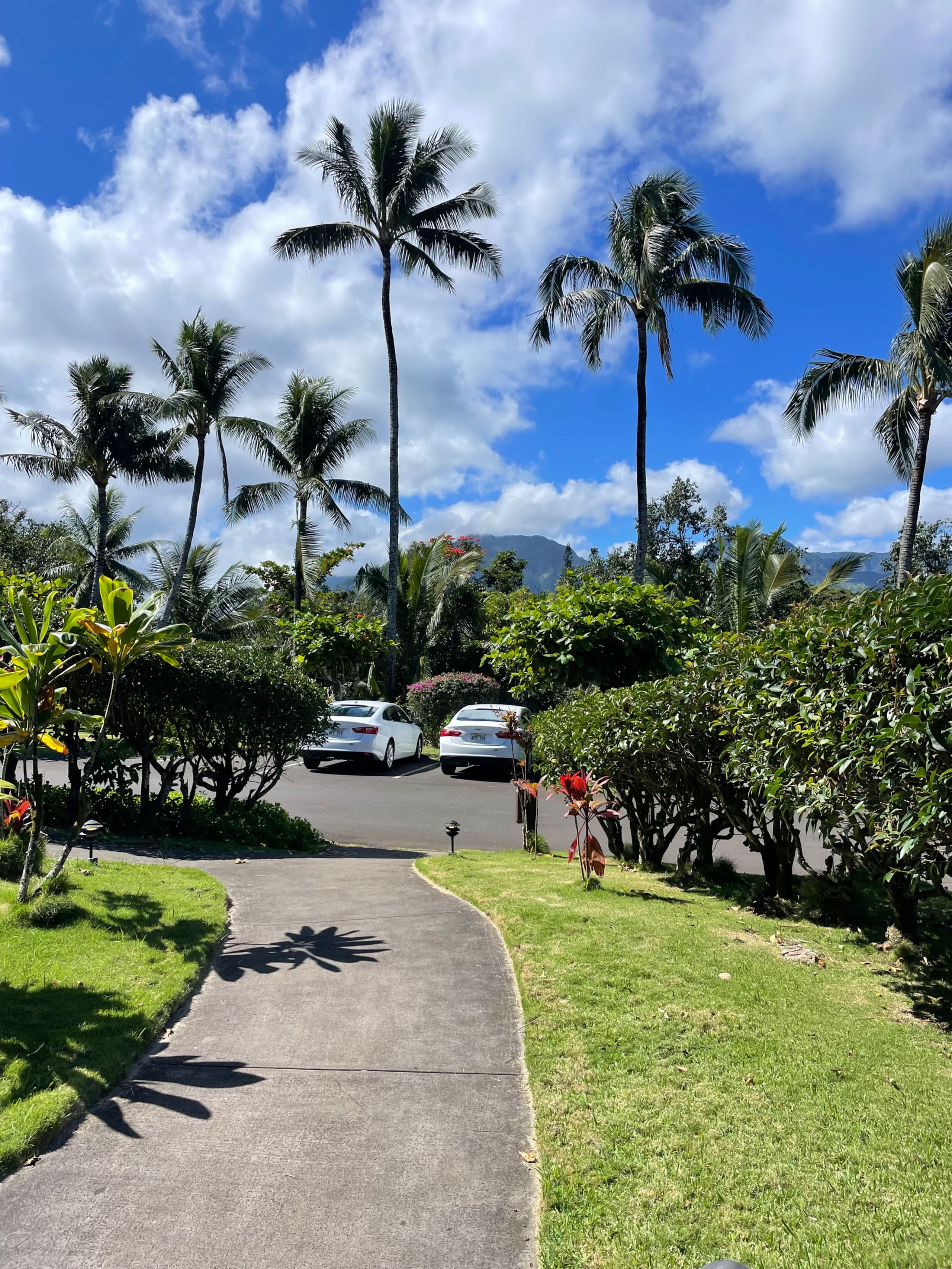 Condo in Princeville · ★4.95 · 1 bedroom · 2 beds · 1 bath - Image 22