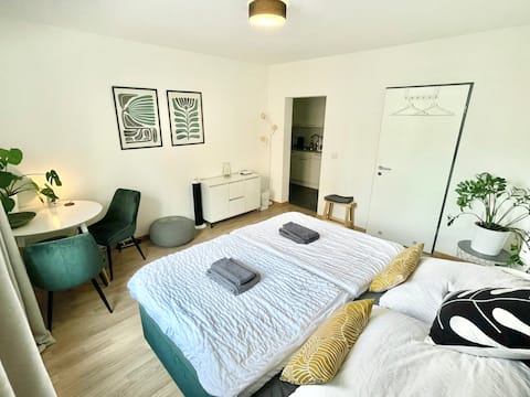 Successful Airbnb property: Central city apartment in Zurich! in Hard