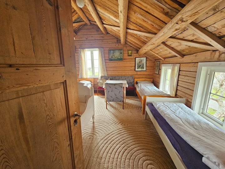 Toto je najväčšia spálňa, vhodná pre štyri osoby, a zvyčajne sa používa ako spálňa a obývacia zóna pre mladých. Plocha: 27 metrov štvorcových.