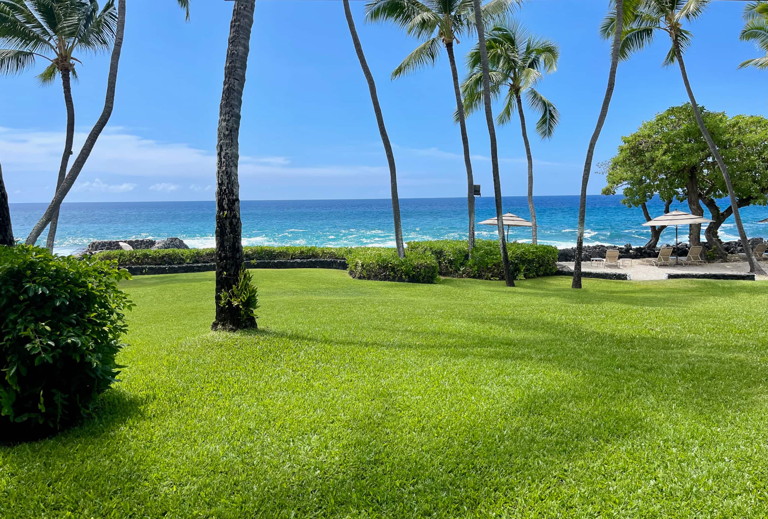 Unique Oceanfront Condo with Gorgeous Views - Image 15