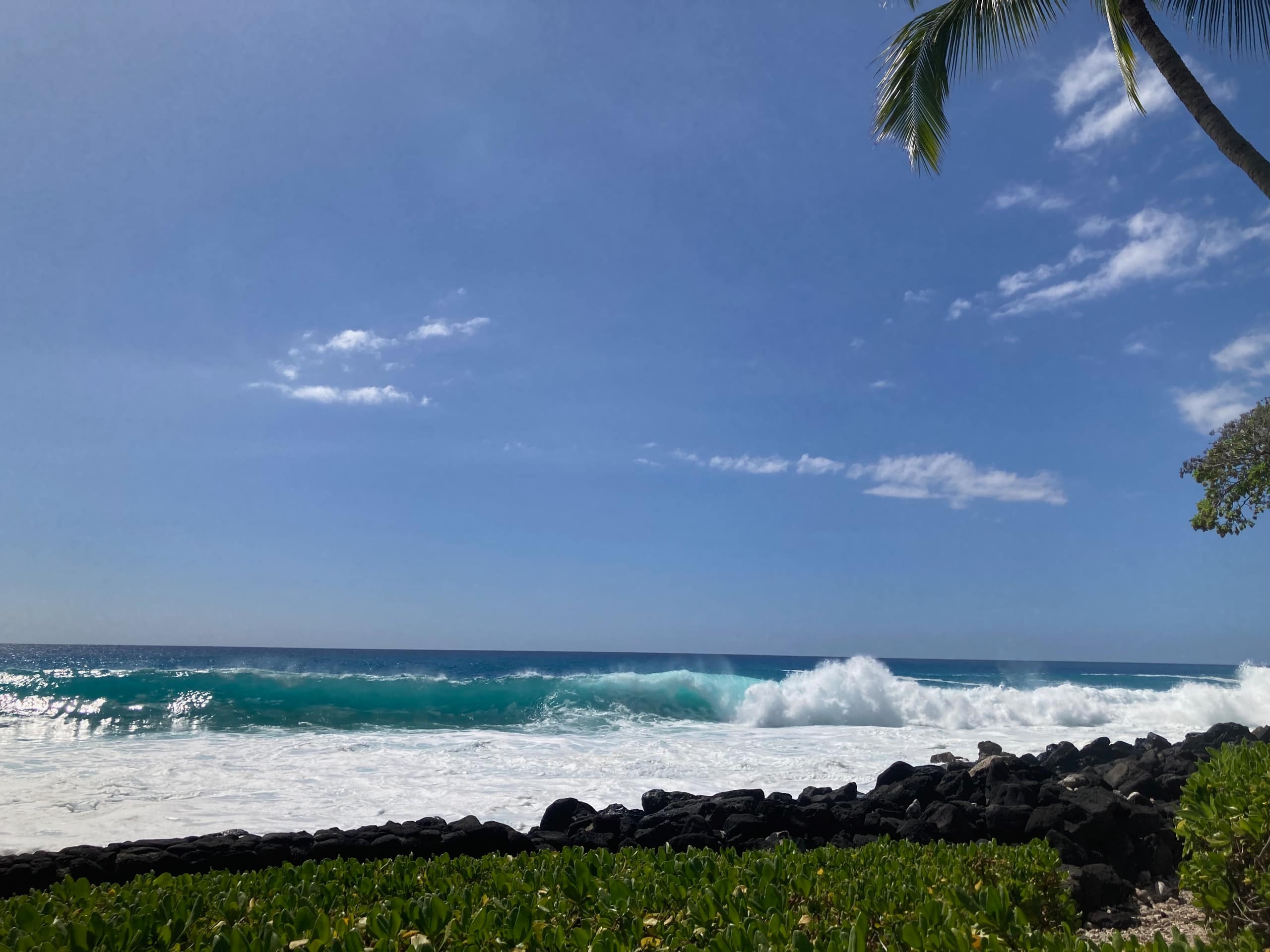Unique Oceanfront Condo with Gorgeous Views - Image 30