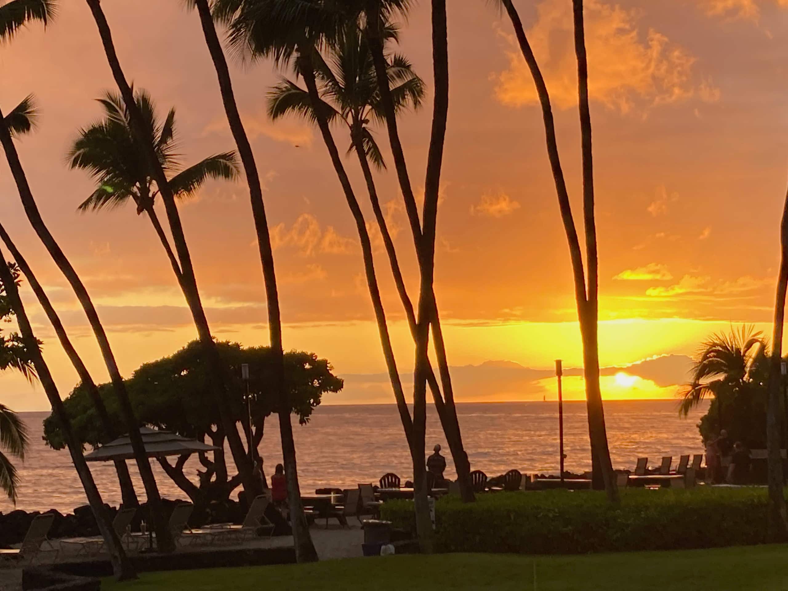 Unique Oceanfront Condo with Gorgeous Views - Image 28