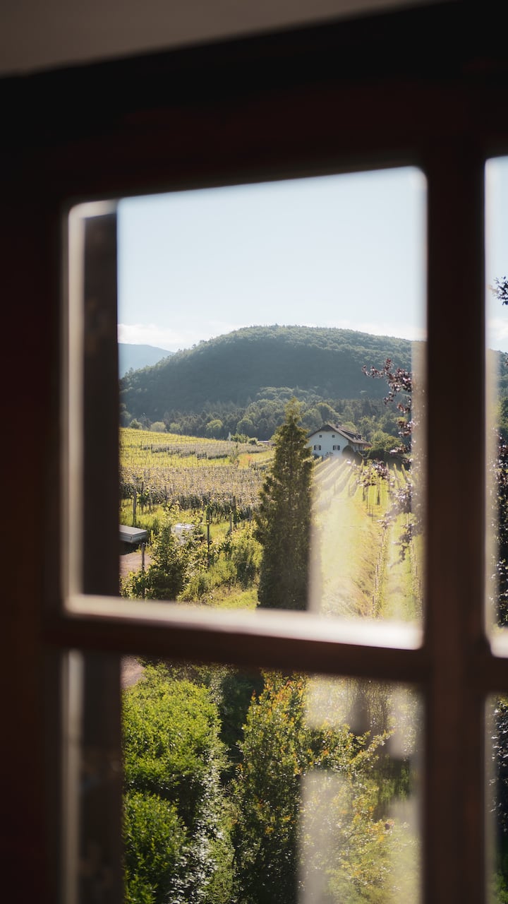 Camera 'Monticolo ' - Soggiorno Incantevole - Bolzano
