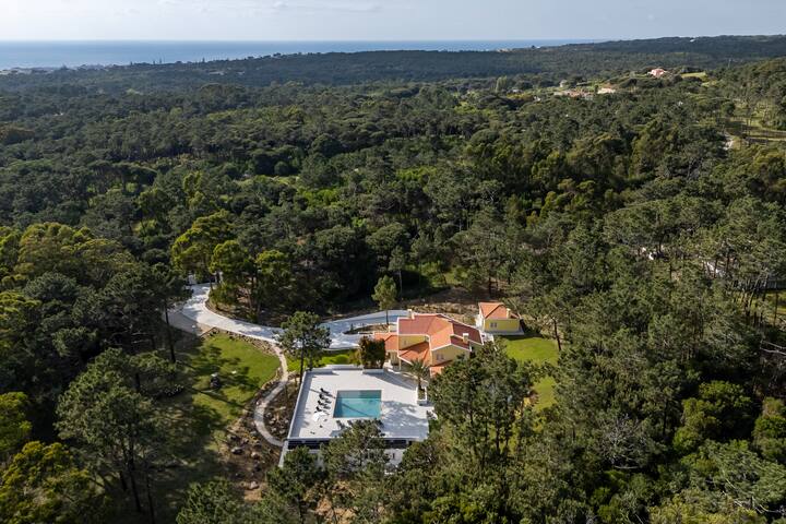 Casa das Tordoveias @ Elegant Villa by Hansi Home gallery image 2