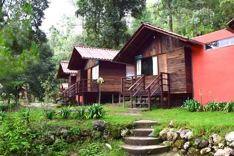 The wooden cabin sulfurs