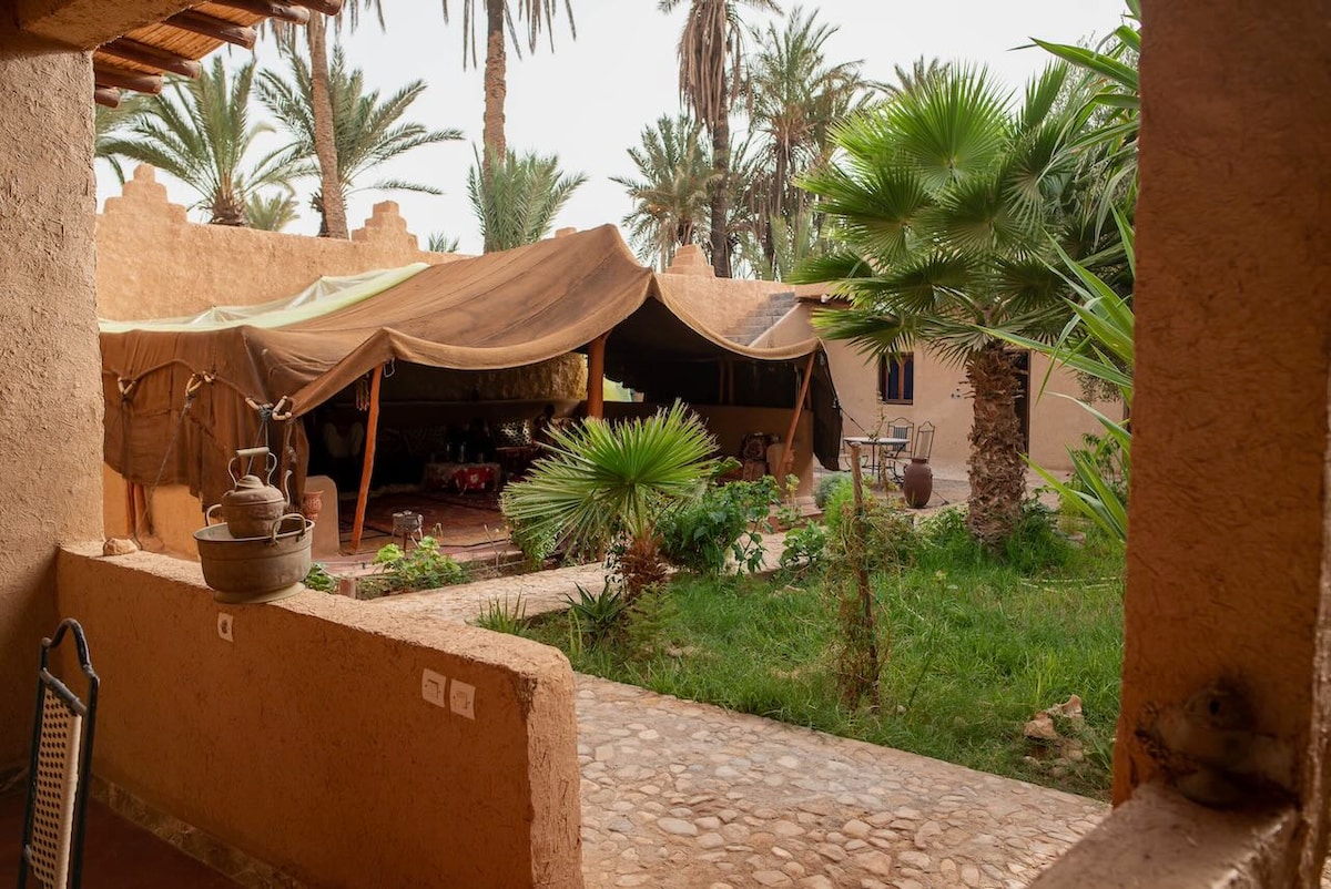 A view from a doorway showcases a lush garden with palm trees and decorative pots. A large tented area is visible, designed for social gatherings, while stone pathways lead through the green landscape, creating a welcoming outdoor space for relaxation.