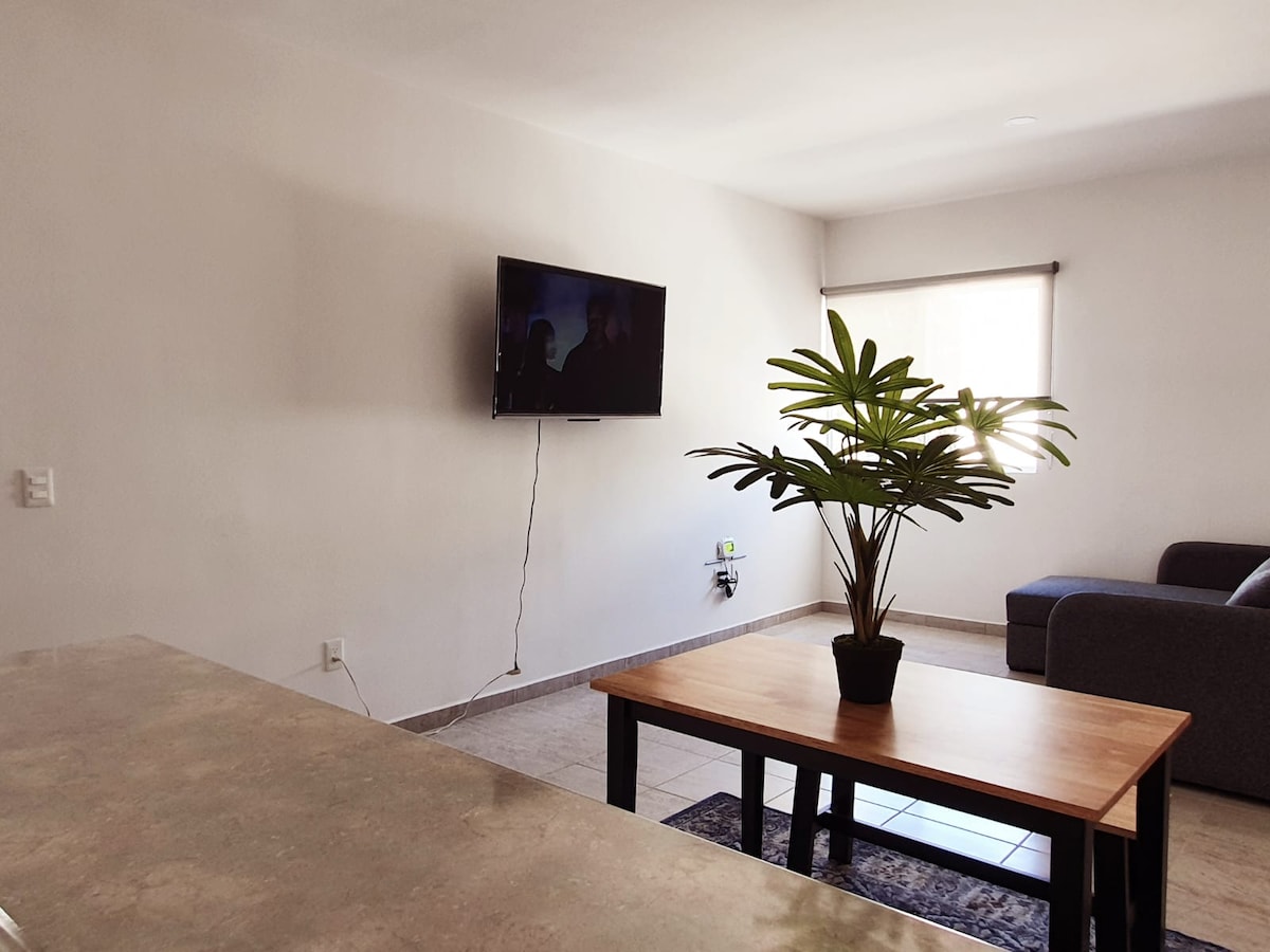 Airbnb con mejor rendimiento: Santos Department en Selva Escondida