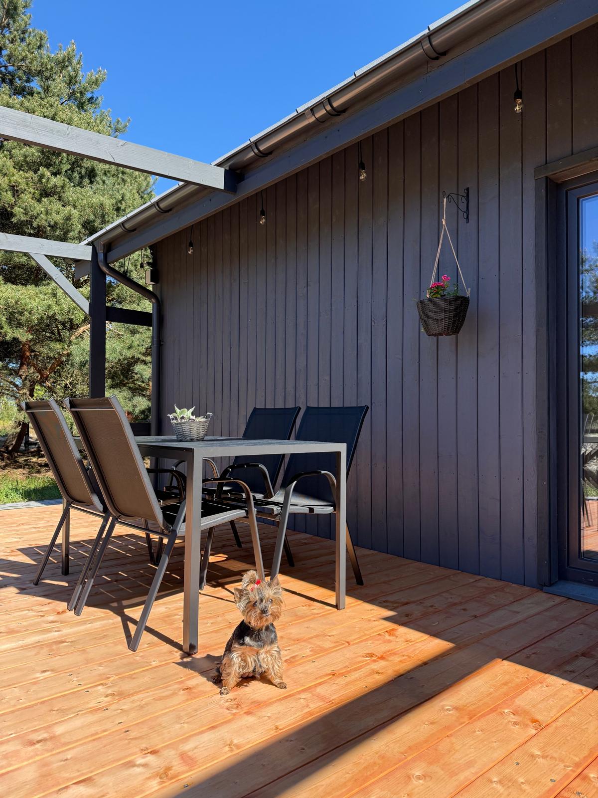 A spacious terrace is featured, furnished with a rectangular table and four chairs. A potted plant is placed on the table, and a hanging flower pot adds a touch of nature. Natural sunlight illuminates the wooden deck, while a small dog stands on the floor.